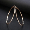 Shiny Zircon Hoop Earrings PWB289