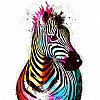 Paint By Numbers-DIY Zebra(40*50 CM) PW741
