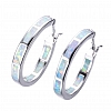  Circle Hoop Earrings PWB316