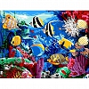 DIY Paint By Numbers Kit(40x50cm) Ocean Fish PW763