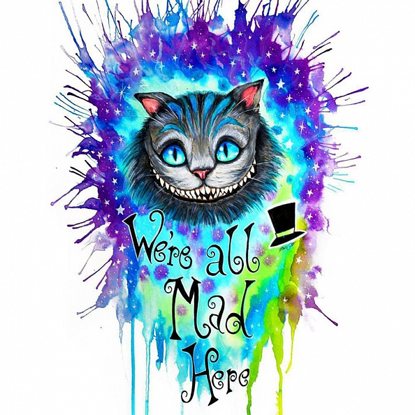 Diy Paint by Number Kits -Mad Cat PW655