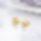 Charming Rose Flower Stud Earrings PWB450