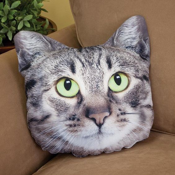 Custom Pet Photo Pillow, Custom Pet Face Pillow, 3D Portrait Pillow PW092