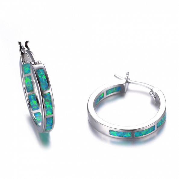  Circle Hoop Earrings PWB316