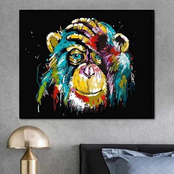 Animal Monkey Paint By Numbers Kits PW101
