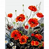 Paint By Numbers-DIY Red Flowers(40*50 CM) PW621