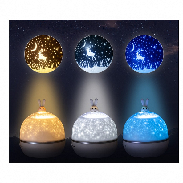 Romantic and Lovely Photo Projector Lamp Girls Gifts PW487