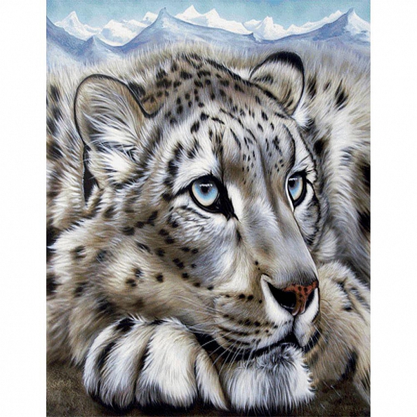DIY Paint By Number Kits-Tiger(40*50 CM) PW610