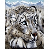 DIY Paint By Number Kits-Tiger(40*50 CM) PW610