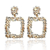 Personal Exaggerated Diamond Earrings PWB158