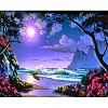 DIY Paint By Numbers Kit(40x50cm) Moon-PW758
