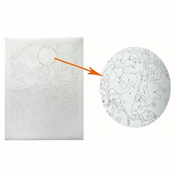 Paint By Numbers-DIY Colorful Owl(40*50 CM) PW739