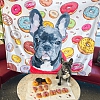 Custom Dog Blankets Personalized Pet Photo Blankets Painted Art Portrait Fleece Blanket PW006