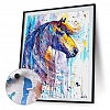 DIY Paint By Numbers Kit(16x20in/40x50cm) Horse PW767