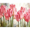 DIY Paint By Number Kits- Beautiful Flowers (40*50 CM) PW617