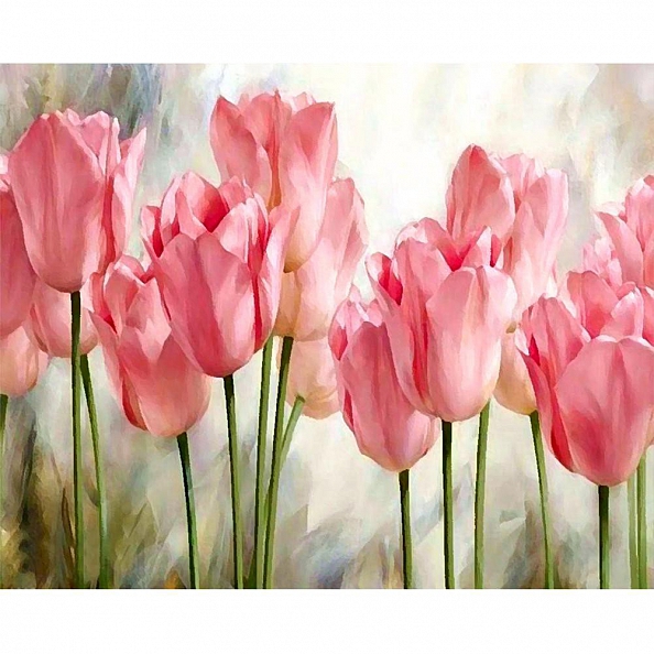 DIY Paint By Number Kits- Beautiful Flowers (40*50 CM) PW617