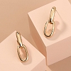 Exaggerated metal chain earrings PWB129