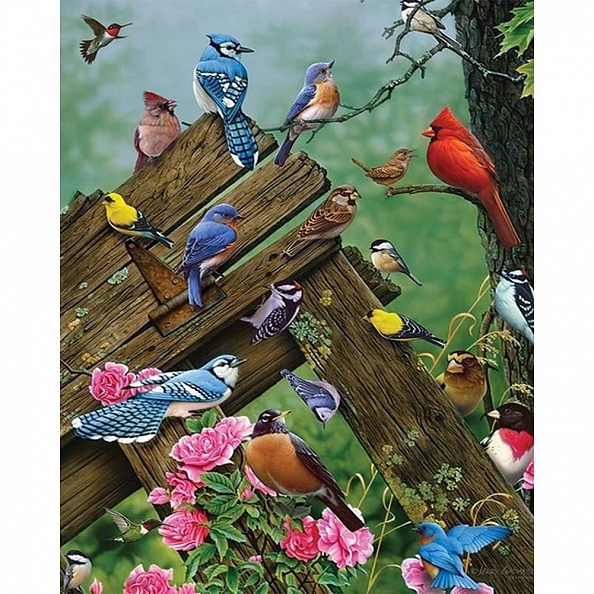 Diy Paint by Number Kits - Resting Birds PW652