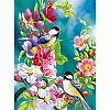 DIY Paint By Numbers Kit(40x50cm) Birds Flowers PW752