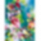DIY Paint By Numbers Kit(40x50cm) Birds Flowers PW752