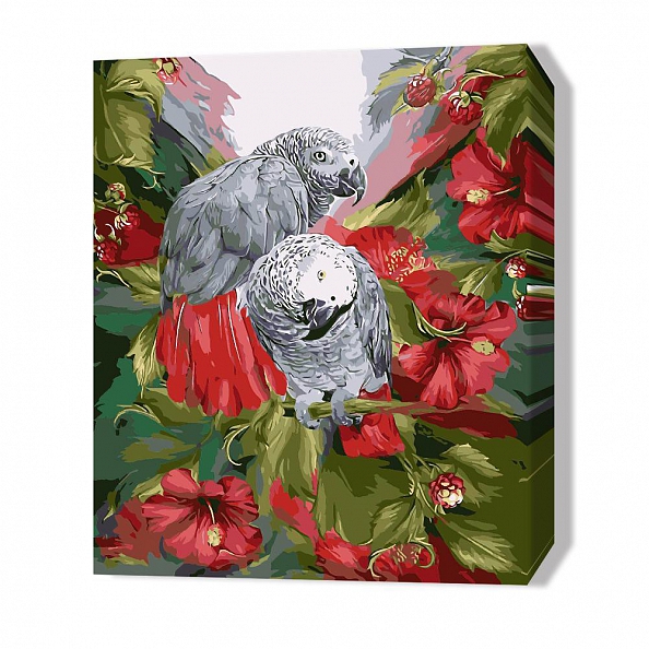 Paint By Numbers Kit(16x20in40x50cm) - Bird- PW773