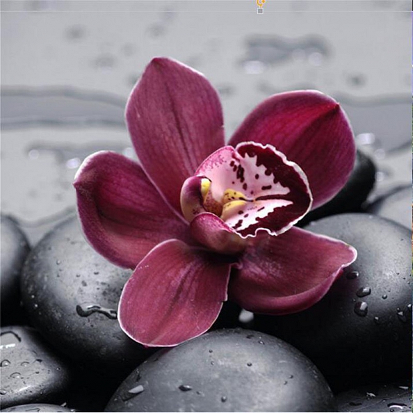 Partial Round Drill 5D Diamond Painting Kit (DIY)-Flowers PW540