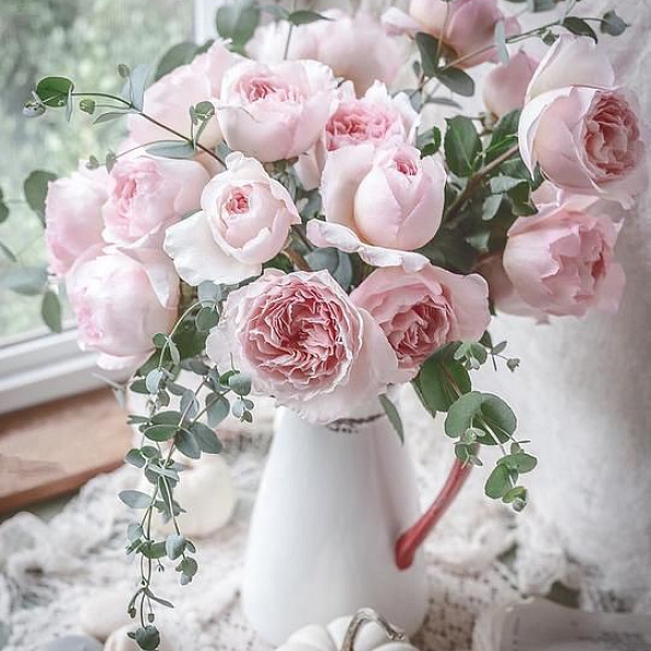 Flower Rose Paint By Numbers Kits  PW161