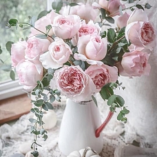 Flower Rose Paint By Numbers Kits  PW161