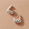 Fashion Pattern Earrings PW983