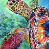 Animal Turtle Paint By Numbers Kits PW108