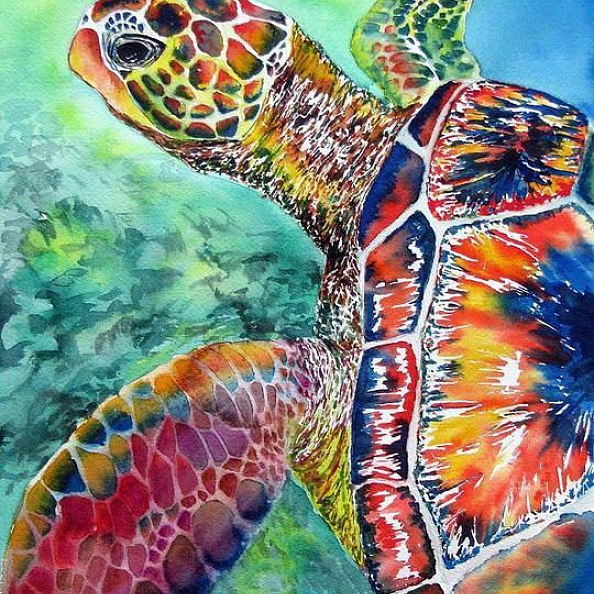 Animal Turtle Paint By Numbers Kits PW108 - Personalized Gift - PromiseIn