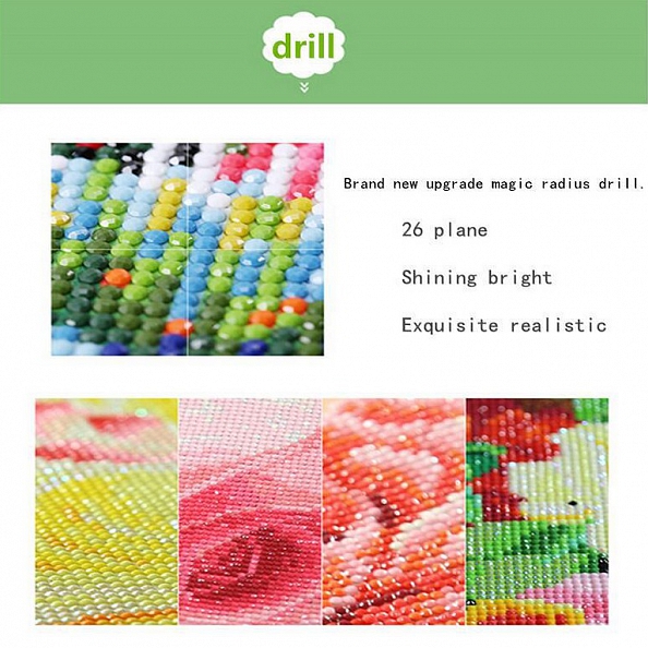 Lion  Full Drill 5D Diamond Painting Kit PW491