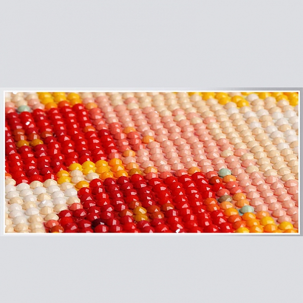 Red Fish 5D Diamond Painting Kit PW506