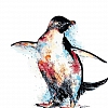 Animal Penguin Paint By Numbers Kits PW131