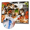 DIY Paint By Number Kits-Lovely Cats (40*50 CM) PW616