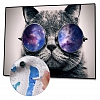 DIY Paint By Numbers Kit(40x50cm) - Glasses Cat PW783