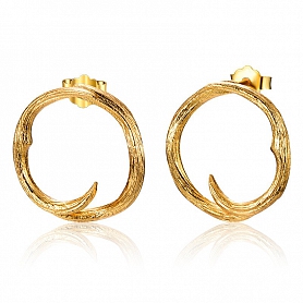 Rose thorns Stud Earrings PWB389