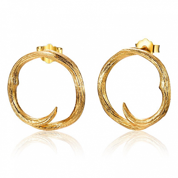 Rose thorns Stud Earrings PWB389