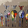 Animal Zebra Paint By Numbers Kits PW114