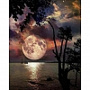 DIY Full Drill Round Diamond Painting-Full Moon PW695