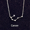  Silver Zodiac Necklace Celestial  PW891