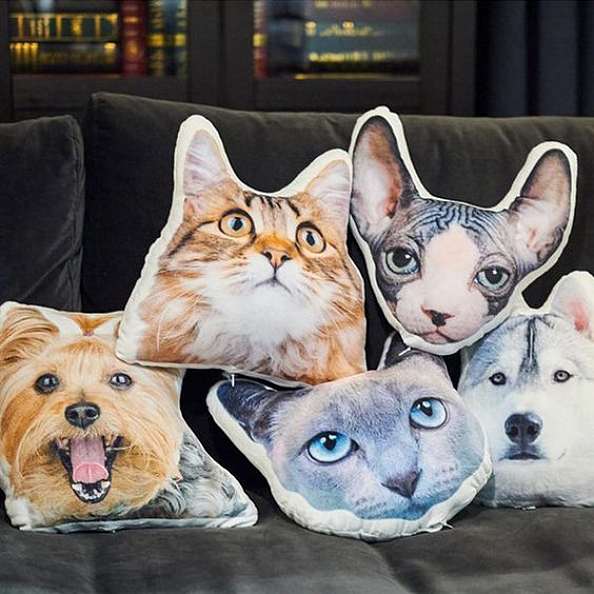 Custom Pet Photo Pillow, Custom Pet Face Pillow, 3D Portrait Pillow PW087