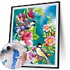 DIY Paint By Numbers Kit(40x50cm) Birds Flowers PW752