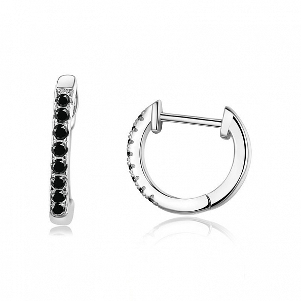 S925 Sterling Silver Hoop Earrings PWB347