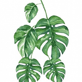 Flower Leaf Paint By Numbers Kits PW162