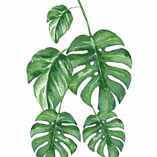 Flower Leaf Paint By Numbers Kits PW162