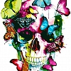 Pattern Skull Masterpiece Paint By Numbers PW158