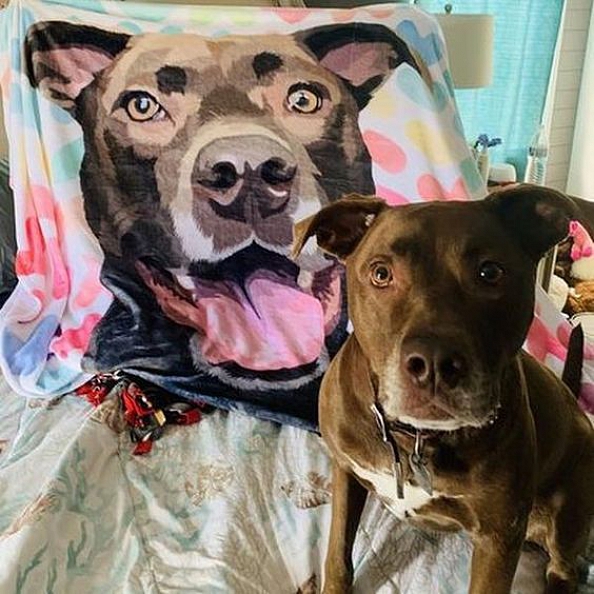 Custom Dog Blankets Personalized Pet Photo Blankets Painted Art Portrait Fleece Blanket PW005