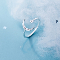 Moon & Star Sterling Silver Ring PWB284