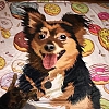 Custom Dog Blankets Personalized Pet Photo Blankets Painted Art Portrait Fleece Blanket PW006